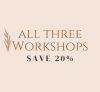 The Resilient Family Series : Three-Part  Workshop